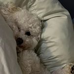 Carter Goodwin - @cdgood1 - Instagram