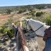 carter graham - @carter.graham30 - TikTok