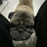 Carter Graham - @cartergraham95 - Instagram
