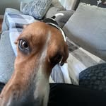 Carter Graham - @carter.g1335 - Instagram