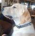Carter Graves - Facebook