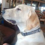 Carter Graves - @cgraves50 - Instagram
