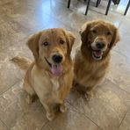 Carter Greer - Facebook