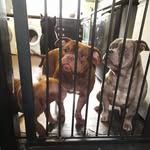 Carter Gregg - @gregg9947 - Instagram