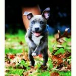 carter griffith - @c.a.r.t.e.r_g.r.i.f.f.i.t.h.13 - Instagram