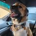 Carter Griffith - Facebook