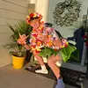 Carter Gross - @carter_gross23 - TikTok