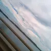 sheluvcarter - @cartergrove8 - TikTok