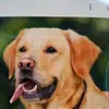 carterguzman - @carter.guzman0 - TikTok