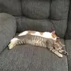 carterhaas297 - @carterhaas297 - TikTok