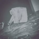 carterhaas - @carterhaas41 - Instagram