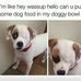 Carter Hack - Facebook