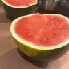 Carter Hammer - @carter.hammer - TikTok