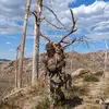 carterr_hansen - @carterr_hansen - TikTok