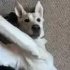 kimcarterhancock - @kim.carter.hancoc - TikTok