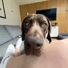evie lol - @carter.harbin0 - TikTok