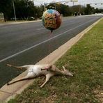 Carter Harrell - Facebook