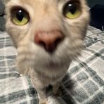 Carter Harrell - Facebook