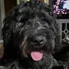 Ċąřťèř - @carter.harris61 - TikTok