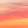 ?carterhatch ship or dip fr? - @carterhatchshipordipfr - TikTok