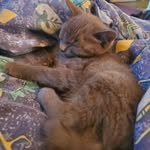 Carter Hebert - @potatoman4891 - Instagram