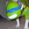 carter_helms - @carter_helms67 - TikTok