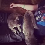 Carter Henderson - @carter.henderson2 - Instagram