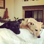 Cash & Carter Herrera - @cashncarterherrera - Instagram