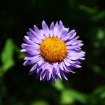 Carter Hicks - @carterhicks6 - Instagram