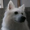 Carter Higgins - @carter.higgins2 - TikTok