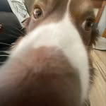 Carter Higgins - @papa_higgy6 - Instagram