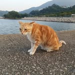 Carter Ho - @cmho1010 - Instagram