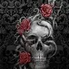 Carter Hosto - @carter.hosto - TikTok