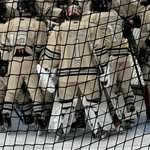 Carter Hogan - @carterhogan_hockey - Instagram