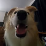 Carter Holbrook - @cholbrook432 - Instagram