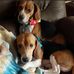 Jennifer Carter Holbrook - Facebook