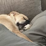 Carter Holcomb - @carterholcomb - Instagram