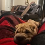 Carter Hooper - @gizmo201024 - Instagram