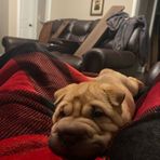 Carter Hooper - Facebook