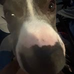 Carter Jackson - Facebook