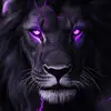 Carter Kinney - @carter.kinney8 - TikTok