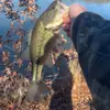 carter_lawson7 - @carter_lawson7 - TikTok