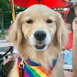 Beckie Carter McCall - @stellalunastories - Instagram
