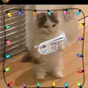 Carter - @cartermccall94 - TikTok