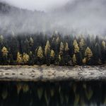 Carter Mccall - @mccall._carter - Instagram
