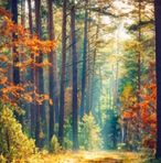 Carter Mcfadden - Facebook