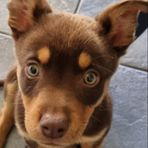 Carter Mckenzie - Facebook