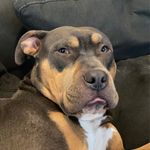 Carter Mclean - @carter_mclean_ - Instagram
