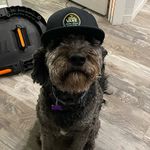 Carter Mclean - @cartermckwan - Instagram