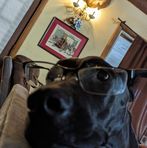 Carter Montgomery - Facebook